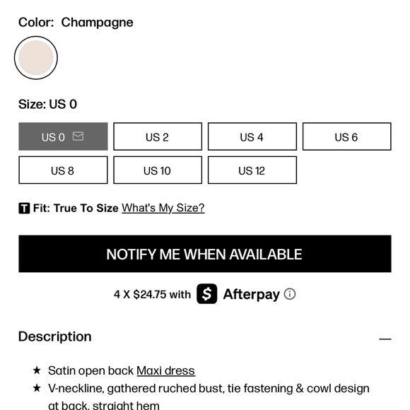 Princess Polly Northern Star Maxi Dress – Champagne | US 0 | Like New - Picture 6 of 9